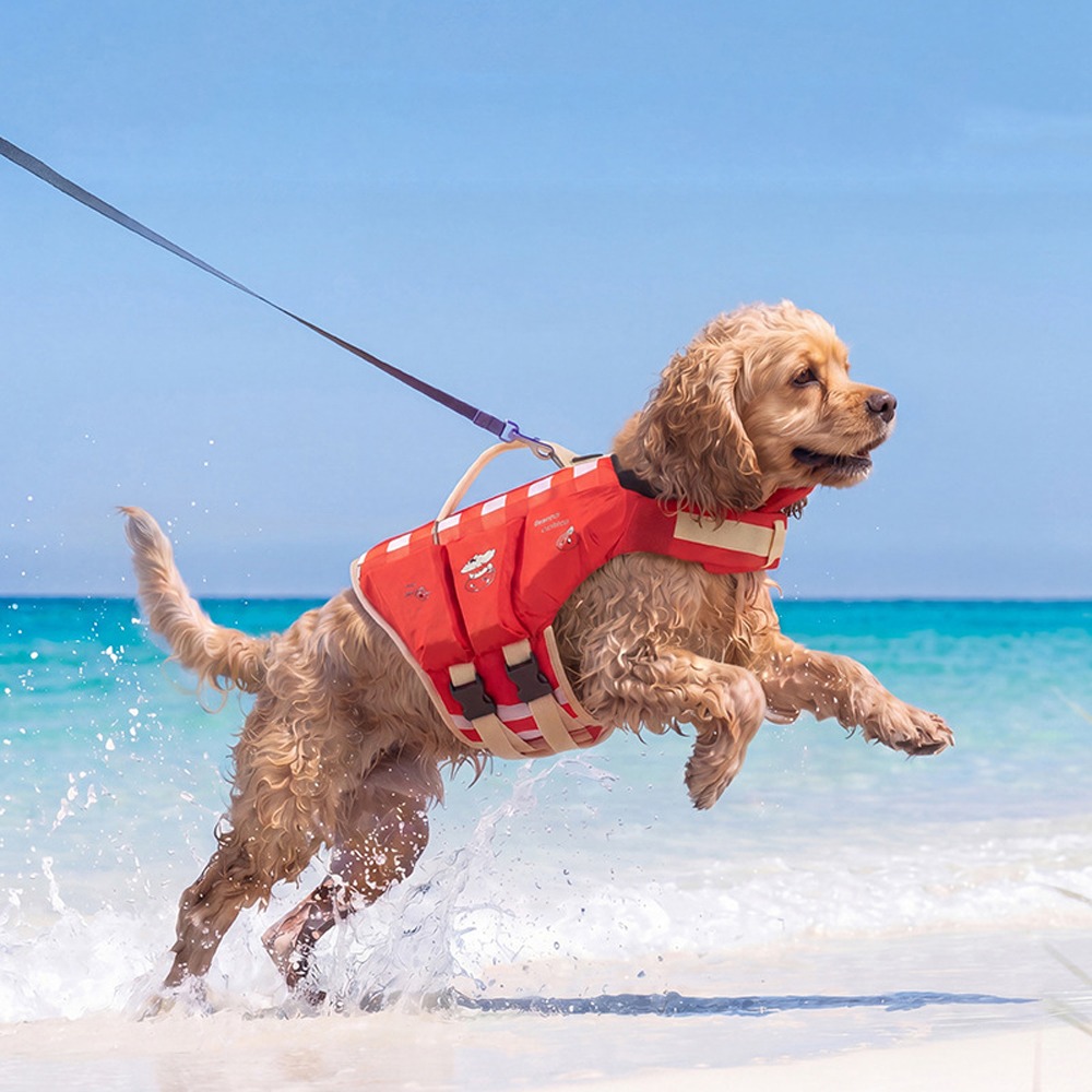 Waterproof Dog Life Jacket Bre - Life Jacket ulasan dan harga